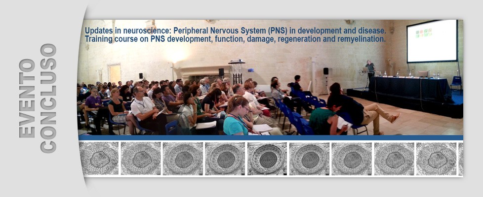 Training course on PNS development (01 - 04/07/2014)